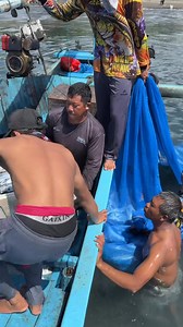 1.2M views · 14K reactions | No cut no edit serunya memindahkan hasil tangkapan ikan GT yang sangat melimpah #edikhannn #nelayanbali #nelayanindonesia | Edi Purnomo | Facebook