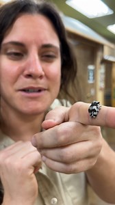 The Reptile Zoo on Reels