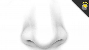 26K views · 23 reactions | What Your Nose Can Tell You | Howstuffworks | Facebook