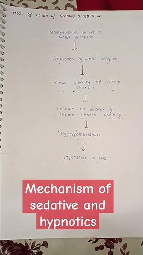mechanism of sedative and hypnotics