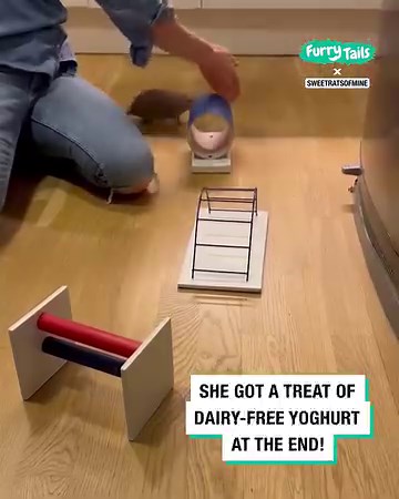 She smashed this obstacle course! 🐀😍 | Furry Tails