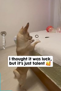 2.6K views · 66 reactions | Heasham Rockx on Reels | Facebook