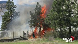 Oliver Fire Department quick to knock down brush fire