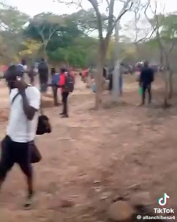 323K views · 6.9K reactions | Land of work and Joy. | Zed Diary | Facebook