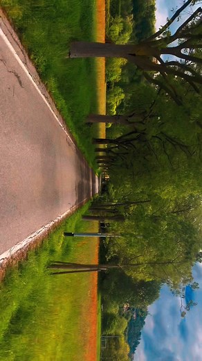 Swiss Dai Swiss 💚🌳. #cittaalta #italy #swiss #shahidshekari #nature #vacation #scenic | Shekari fx