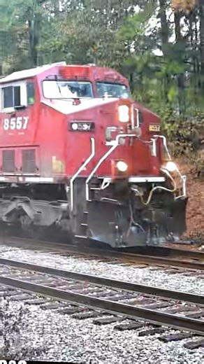 Canadian pacific leads CSX intermodal with yn2 trailing