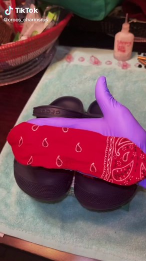 The Charm Lady on TikTok