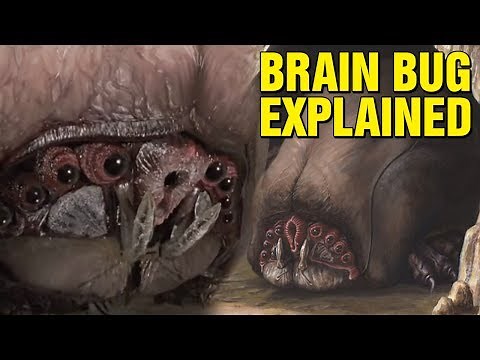 THE BRAIN BUG EXPLAINED - STARSHIP TROOPERS HISTORY EXPLORED