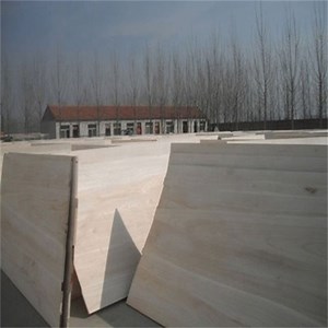 [Hot Item] Paulownia Tomentosa Wood/Paulownia Wood Furniture
