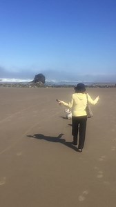 Early morning walks on the beach are very popular with Piper and Pickles 💗 | The Piper Chronicles