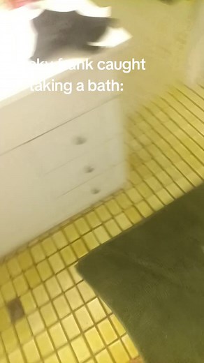 #freakyfrank #bird #fyp #bath #water