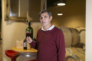«À Bordeaux, on a eu un véritable climat subtropical cette année»