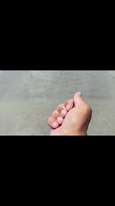 37 reactions | So many awesome beach finds #lost #detecting #beach #gold #digging | Joe Digger | Facebook