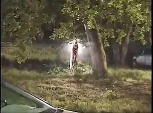 3.4K views · 101 reactions | Drew Barrymore filming the opening scene of 'Scream' (1996). This iconic moment redefined horror as her character, Casey, faces a chilling call from the killer. #bts #scream | CgoMovies | Facebook