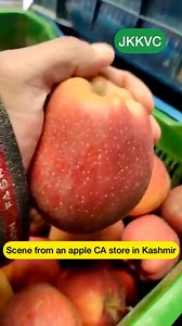 Scene inside an #apple CA store in #Kashmir. Video by Mohd Ashraf Bhat. | JK Krishi Vikas Cooperative Ltd.