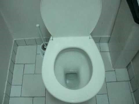 How Australian Toilets Flush!