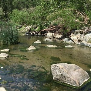 Multimedia Projects | Portfolio