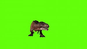 T-rex Dinosaur Idle Sneeze Green Screen Stock Footage Video (100% Royalty-free) 3523135959 | Shutterstock
