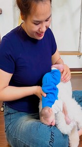 3.2K views · 72 reactions | Lala and Lu always have special affection and care for each other #Lala #Monkey #Bibi | Lala Update | Facebook