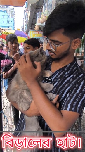 Biggest cat hat in dhaka. #reels #reelsviralシ #foryouシ #chicks | BD Chasi Agro