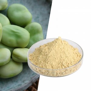 [Hot Item] Wholesale Pea Protein Isolate Organic Pea Protein Isolate Bulk Supply 80%