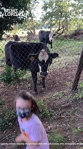 2.4K views | Parents Scaring Their Kids | Meme Lord | Facebook