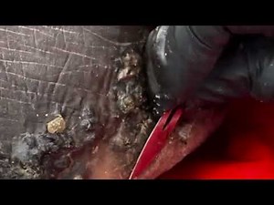 Peter's left foot w/ MANY SCALES & many small jiggers - full video's published @riseupsociety.net