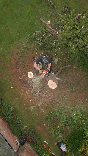 What the pigeons see. Last couple of chogs before felling the stem. #arbortec #arborist #treework #chainsaw | Arbortec Forestwear
