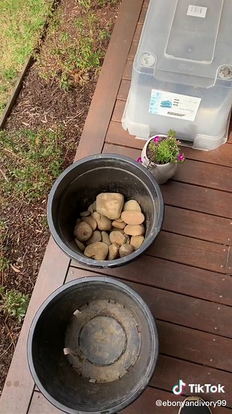DIY Bird Bath for Backyard Rosellas and Lorikeets