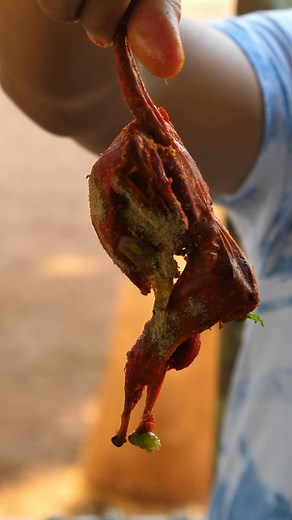 4.2K views · 23 reactions | While travelling from Raipur to Bilaspur...