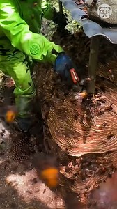 2.8K views | Destroying a massive hornet nest Partner: unseengroups | Awesome | Facebook