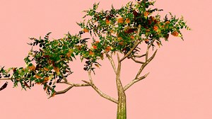 Low Poly Pohutukawa Tree - 3D model by nedkovberkant
