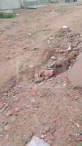 3.2K views · 22 reactions | GUARULHOS: Essa é a situação da travessa Milton Santos, no Anita Garibaldi. “Devido às constantes chuvas e principalmente a falta de asfalto, as ruas estão criando valetas e crateras, dificultando a passagem de veículos”. | Jornal Guarulhos Hoje | Facebook