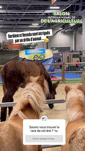 FFE - Fédération Française d'Equitation on Reels | Facebook