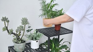 Plant Stand Indoor Outdoor Metal Plant Shelf 4 Tiers 7 Potted Corner Flower Rack for Living Room Patio Garden Balcony, Black