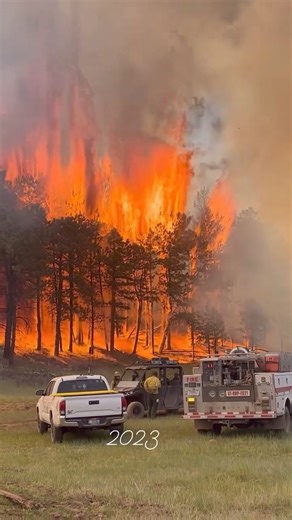 2023 fire season. #wbjcfireprogram #wildland #fire #driptorch #pulaski #pulaskishovelsandmen #viewsfromwork #wildfire #jobcorpsfireprogram #weberbasinhandcrew #arizona #kaibab #utah #uintas . . Footage @wbjcfireprogram 🌲🇺🇸🌲🤘🏽 | Pulaski Shovels And Men