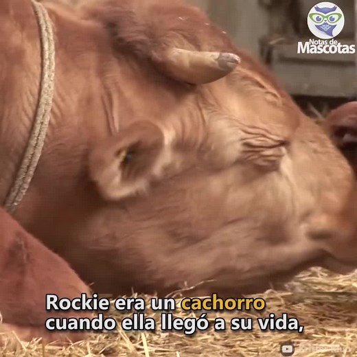 #sad #fyp #sadstory #parati