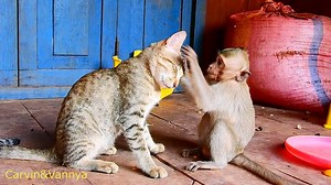 user6564500597069 នៅលើ TikTok