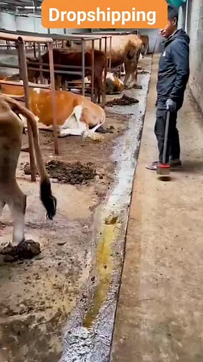 84K views · 292 reactions | Thapi bana ki machine price 699 | Dropshipping.com.pk | Facebook