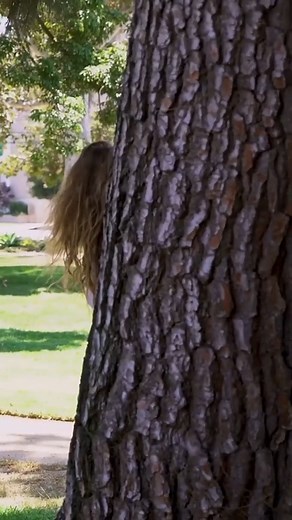 Hide & Seek | Hannah Stocking