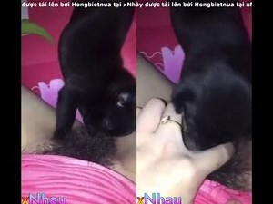 Cô em dâm không cần đàn ông cho cún con liếm lồn