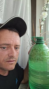 1.4K reactions · 175 shares | Socata mea de casă rețetă simplă dar gustoasă #sacata #bauturisanatoase #retetadevara | Matean Marius | Facebook