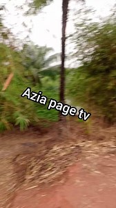 1.6K views · 49 reactions | Omayi iro river in ukwakwa azia at the boundary of okija and Azia along azia junction road. Watch the video till end to no why the river was abandoned. Please share this post  | AZIA PAGE Tv | Facebook