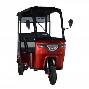 [Hot Item] Moto Cycle Trike Electric Vehicles for Disabled Electric Rickshaw and Electric Tricycle China for Russia