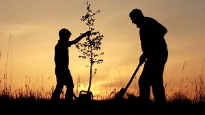 clip-3863342-father-son-planting-tree-sunrise-silhouette-spring