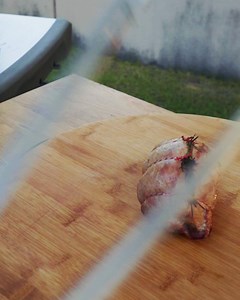 If you haven't tried it, Aussie Lamb Knuckle is a DELICIOUS cut of meat and when cooked right (like this 👇) produces a juicy and tender dish for all to enjoy | Australian Beef & Lamb