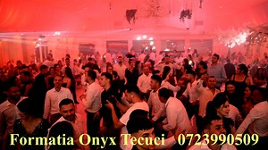 Muzica pentru toate gusturile Formatia Onyx LEONARD TRANDAFIR | Formația Onyx Tecuci