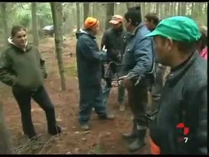 La guerra del boletus