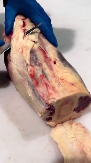 Trimming a whole beef shin to make a beef shin ‘Thor’ hammer. . . @ausmeatemporium @beef @beefshin @beefshinhammer @beefhammer | Australian Meat Emporium