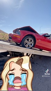 1.8M views · 10K reactions | Casi me lesiono al bajar  #ford #mustang | Exoticscuu | Facebook